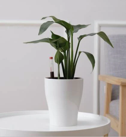 MAKER PLASTIČNA SAKSIJA 16.5X14 MAK3716